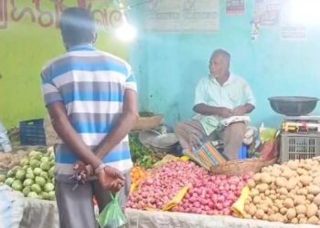 ଅର୍ଦ୍ଧ ଶତକ ମାରିଛି ଆଳୁ