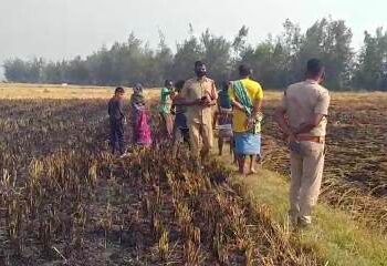 ନିଆଁ ଲାଗି ତିନି ଏକରରୁ ଉର୍ଦ୍ଧ୍ବ ଧାନ ଫସଲ ପାଉଁଶ