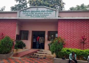 ନୂଆ ବର୍ଷ ପାଇଁ ଖୋଲା ବଜାରରେ ବିକ୍ରୀ ହେଉଛି ଜଙ୍ଗଲି ମାଂସ : ଟେର୍ ପାଉନି ବନବିଭାଗ – ସାମ୍ବାଦିକଙ୍କ ନାଁ ଶୁଣିଲେ ରକ୍ତଚାଉଳ ଚୋବାଉଛନ୍ତି ଅଧିକାରୀ