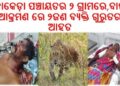 ନୂଆଗାଁ ରେ ବାଘ ଆକ୍ରମଣରେ ଦୁଇ ଗୁରୁତର : ଚିକିତ୍ସାଳୟରେ ଭର୍ତ୍ତି
