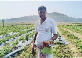 ନୂଆଗାଁ ବ୍ଲକ୍ ରେ ଷ୍ଟ୍ରବେରୀ ଚାଷ ଚାଷୀ ମାନେ ହେବେ ସ୍ବାବଲମ୍ବୀ