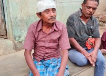 ଧଣ୍ଡାମୁଣ୍ଡା ଗାଁ ରେ ଜଙ୍ଗଲୀ ବାରହା ଆତଙ୍କ, ଜଣେ ଆହତ