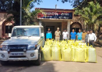 ଫୁଲବାଣୀ ଜିଲ୍ଲା ପୋଲିସ ଆଜି ବିଭିନ୍ନ ସ୍ଥାନରେ ଚଢ଼ାଉ କରି ବିପୁଳ ପରିମାଣର ଗଞ୍ଜେଇ ଜବତ