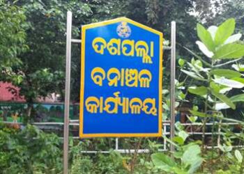 ନିଆଁ ର ଆଁ ଭିତରେ ଦଶପଲ୍ଲା ବନାଂଚଳ