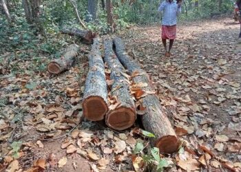ରଥକାଠ କଟାକୁ ବିରୋଧ କଲେ ତାବେଡା ଗ୍ରାମବାସୀ , ଆଜିହେଲା ସମାଧାନ