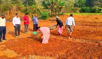 ଜିଲ୍ଲା ମୁଖ୍ୟ କୃଷି ଅଧିକାରୀ ଙ୍କ ପାବୁରିଆ ଓ ରାଇକିଆ ଗ୍ରସ୍ତ