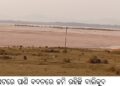 ମହାନଦୀ ପେଟରେ ପାଣି ବଦଳରେ ଜମି ରହିଛି ବାଲିକୁଦ