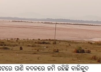 ମହାନଦୀ ପେଟରେ ପାଣି ବଦଳରେ ଜମି ରହିଛି ବାଲିକୁଦ