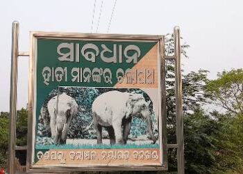 ରେଳପ୍ରକଳ୍ପ ପାଇଁ ବିପଦରେ ଗଜରାଜ୍