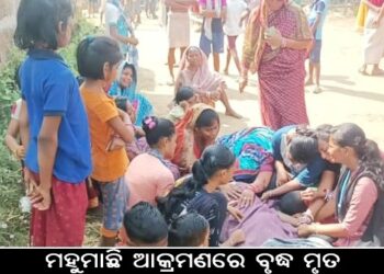 ମହୁମାଛି ଆକ୍ରମଣରେ ବୃଦ୍ଧ ମୃତ