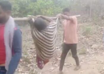 ଗଜପତି ଜିଲ୍ଲାର ଆଦିବାସୀ ଅଧ୍ୟୁଷିତ ମୋହନା ବ୍ଲକ ରେ ପୁଣି ଜନନୀ ଯନ୍ତ୍ରଣା : ଭାରରେ ୮କିମି ବୁହାହେଲେ ଗର୍ଭବତୀ