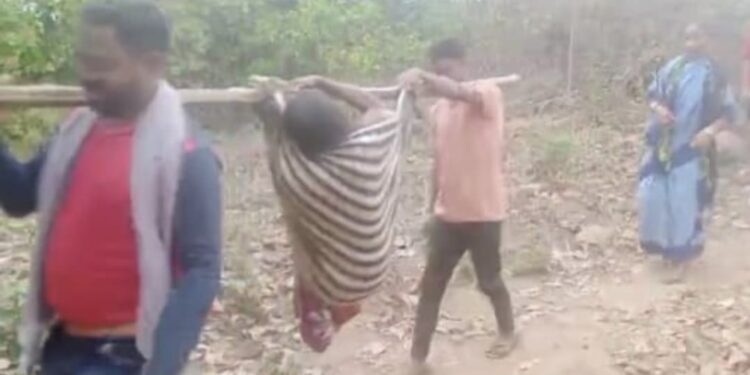 ଗଜପତି ଜିଲ୍ଲାର ଆଦିବାସୀ ଅଧ୍ୟୁଷିତ ମୋହନା ବ୍ଲକ ରେ ପୁଣି ଜନନୀ ଯନ୍ତ୍ରଣା : ଭାରରେ ୮କିମି ବୁହାହେଲେ ଗର୍ଭବତୀ