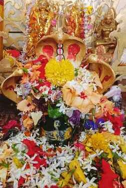 ଦୋଳପୂର୍ଣ୍ଣିମା ପାଳିତ : ଗାଁଠୁ ସହର ସବୁଠି ଉତ୍ସବମୁଖର ପରିବେଶ