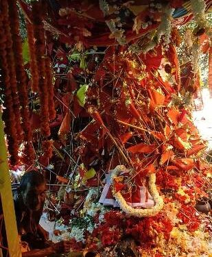 ରାଜ୍ୟର ଅନନ୍ୟ ପରମ୍ପରାର ପ୍ରତୀକ ମାଇପିମେଳାରେ ଲକ୍ଷାଧିକ ଶ୍ରଦ୍ଧାଳୁଙ୍କ ସମାଗମ