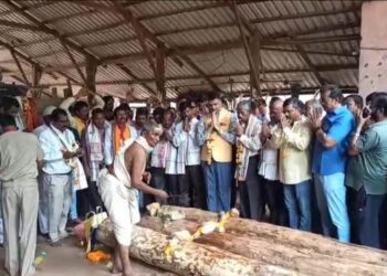 ରଥଯାତ୍ରା ପାଇଁ କଟକରେ ରଥ କାଠ ଚିରଟ ଶୁଭାରମ୍ଭ