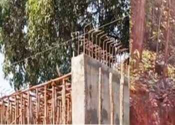ବଡ଼ବଡ଼ ଶାଳ ଗଛ କାଟି ପୋଲ ନିର୍ମାଣ କାର୍ଯ୍ୟରେ ନିୟୋଜିତ : ବନ ବିଭାଗ ଚୁପ – ତଦନ୍ତ ଦାବୀ