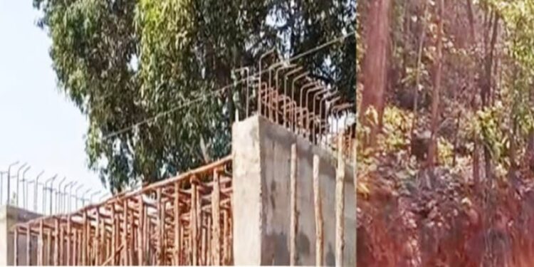 ବଡ଼ବଡ଼ ଶାଳ ଗଛ କାଟି ପୋଲ ନିର୍ମାଣ କାର୍ଯ୍ୟରେ ନିୟୋଜିତ : ବନ ବିଭାଗ ଚୁପ – ତଦନ୍ତ ଦାବୀ