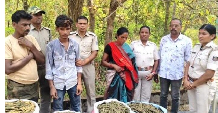 ୯୨ କେଜି ୫୦ ଗ୍ରାମ ଗଞ୍ଜେଇ ଜବତ ସହ ୩ ଜଣଙ୍କୁ ଗିରଫ କଲା ନୂଆଗାଁ ପୁଲିସ