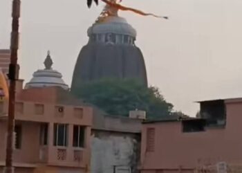 ଶ୍ରୀମନ୍ଦିର ଉପରେ ବାନା ଧରି ଉଡିଲା ଚିଲ ଭିଡିଓ ଭାଇରାଲ ନେଇ ଅନେକ ପ୍ରଶ୍ନ