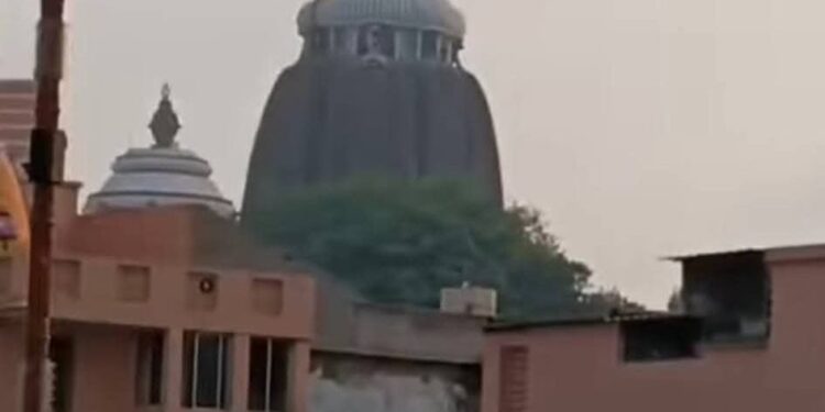 ଶ୍ରୀମନ୍ଦିର ଉପରେ ବାନା ଧରି ଉଡିଲା ଚିଲ ଭିଡିଓ ଭାଇରାଲ ନେଇ ଅନେକ ପ୍ରଶ୍ନ