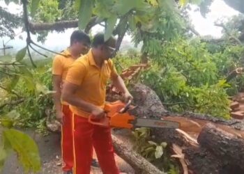 ରାସ୍ତାରେ ଗଛ ପଡି ଯାତାୟତ ସମ୍ପୂର୍ଣ ଠପ