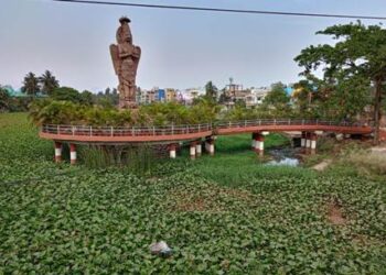 ମୂଷାନଈ ଦଳ ସଫାରେ କୋଟି କୋଟି ଟଙ୍କା ହରିଲୁଟ : ଡ୍ରେନେଜ ଓ ଓବିସିସି ହାତ ଟେକି ବସିଛନ୍ତି