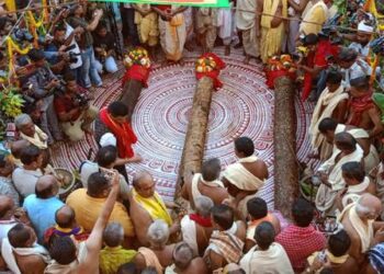 ରଥ ନିର୍ମାଣ ପାଇଁ କାଠ ଅନୁକୂଳ ଓ ଚନ୍ଦନଯାତ୍ରା