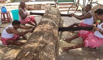 ରଥଖଳାରୁ…. ଚକ ପାଇଁ ତୁମ୍ବ କଟା ଆରମ୍ଭ