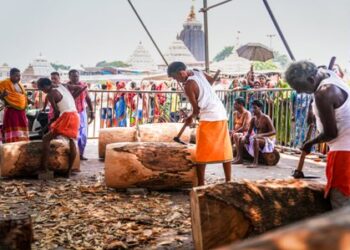 ରଥଖଳା ଚଳଚଞ୍ଚଳ : ଚାଲିଛି ମହାପ୍ରଭୁଙ୍କ ରଥଯାତ୍ରା ପାଇଁ ରଥ ନିର୍ମାଣର – ତୃତୀୟ ଦିନରେ ରଥ ଚକ ସକାଶେ ତୁମ୍ବ ଗୋଲେଇ କାର୍ଯ୍ୟ ଚାଲିଅଛି