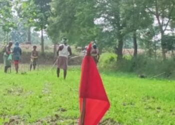 ଗ୍ରାମବାସୀଙ୍କ ମିଳିତ ପ୍ରୟାସରେ ଗୋଚର ଓ ଅନାବାଦୀ ଜମି ଉଦ୍ଧାର