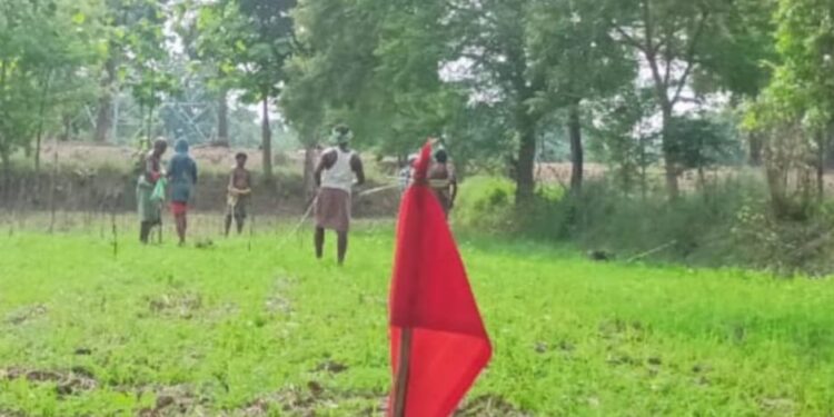 ଗ୍ରାମବାସୀଙ୍କ ମିଳିତ ପ୍ରୟାସରେ ଗୋଚର ଓ ଅନାବାଦୀ ଜମି ଉଦ୍ଧାର