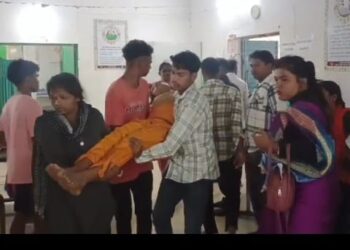 ବ୍ରେକ ଫେଲ୍ ହୋଇ ରାସ୍ତା କଡକୁ ଓଲାଟିଲା ପିକଆପ ଗାଡ଼ି ,15 ରୁ ଉର୍ଦ୍ଧ୍ବ ଆହତ