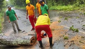 ଗଛ ପଡି ଜାତୀୟ ରାଜପଥ ଅବରୋଧ, ଯାତାୟାତ ଠପ