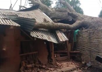 ଘର ଉପରେ ପଡ଼ିଲା ଗଛ ବଞ୍ଚିଗଲା ଝୀଅ