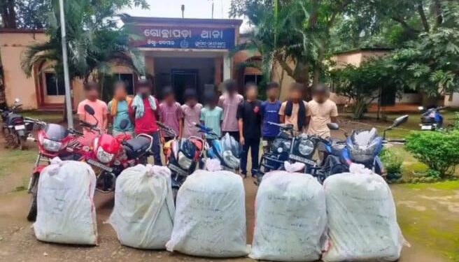 ଗଞ୍ଜେଇ ସହ ୧୦ଜଣ ଗିରଫ : ୬ ବାଇକ ଜବତ