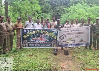 ଆନ୍ତର୍ଜାତୀୟ ବ୍ୟାଘ୍ର ଦିବସ ଉପଲକ୍ଷେ – ବୃକ୍ଷ ରୋପଣ କାର୍ଯ୍ୟକ୍ରମ