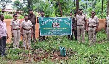 ବନାଂଚଳ କାର୍ଯ୍ୟଳୟ ପରିସରରେ ବୃକ୍ଷ ରୋପଣ କାର୍ଯ୍ୟକ୍ରମ ଅନୁଷ୍ଠିତ