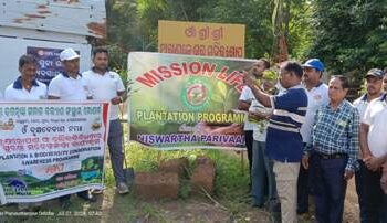 ଗୋପରେ ନିଃସ୍ଵାର୍ଥ ପରିବାର ପକ୍ଷରୁ ମେଗା ବୃକ୍ଷ ରୋପଣ : କୁଶଭଦ୍ରା ନଦୀ ବନ୍ଧ ରେ 56 ଟି ବଉଳ ଗଛ ଲାଗିଲା 