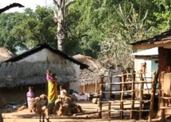 ହୋମସୌର ପ୍ଲେଟ୍ ଏବଂ ଅନ୍ୟାନ୍ୟ ଅଂଶ ଚୋରି