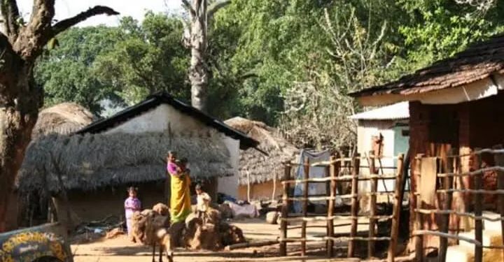 ହୋମସୌର ପ୍ଲେଟ୍ ଏବଂ ଅନ୍ୟାନ୍ୟ ଅଂଶ ଚୋରି