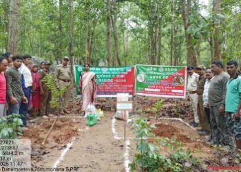 ମୋହନା ବନ ବିଭାଗ ପକ୍ଷରୁ ବିଭିନ୍ନ ସ୍ଥାନରେ ବନ ମହୋତ୍ସବ ସପ୍ତାହ ପାଳନ