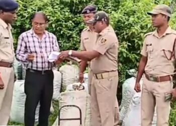 ପୋଲିସ ଦ୍ୱାରା ୭୫ ଲକ୍ଷ ଟଙ୍କାର ୧୨ କୁଇଣ୍ଟାଲ ଗଞ୍ଜେଇ ଜବତ