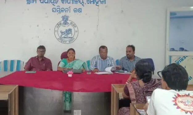 ସାପ୍ତାହିକ ଓ ଦୈନିକ ବଜାର ନୀଲାମ