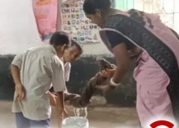 ଶିକ୍ଷା ବ୍ୟବସ୍ଥାର ବିକଳ ଚିତ୍ର : ବର୍ଷା ହେଲେ ବିଦ୍ୟାଳୟରୁ ଗଳୁଛି ପାଣି