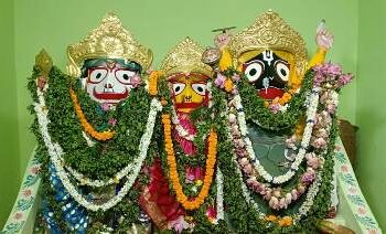 ବାଲିଗୁଡା : ଚତୁର୍ଦ୍ଧାମୂର୍ତ୍ତୀଙ୍କ କଚ୍ଛପ ଅବତାର ବେଶ