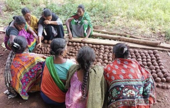 ଜଙ୍ଗଲ ସୃଷ୍ଟି କରିବା ଓ ଉଜୁଡିଯାଇଥିବା ଜଙ୍ଗଲକୁ ସବୁଜିମା ରେ ପରିବର୍ତ୍ତନ କରିବାକୁ ଜନଜାତି ସମ୍ପ୍ରଦାୟର ମହିଳା ମାନେ ଅଣ୍ଟା ଭିଡ଼ିଲେ