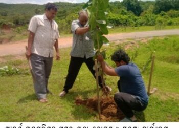ଆଦର୍ଶ ଯୁବପରିଷଦ ପକ୍ଷରୁ ଚାରା ରୋପଣ ଓ ସୁରକ୍ଷା କାର୍ଯ୍ୟକ୍ରମ