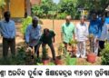ବାଙ୍କୀ ଶ୍ରୀ ଅରବିନ୍ଦ ପୂର୍ଣ୍ଣାଙ୍କ ଶିକ୍ଷାକେନ୍ଦ୍ରର ୩୭ତମ ପ୍ରତିଷ୍ଠା ଦିବସ