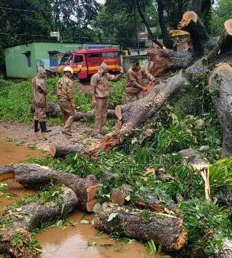 ଲଘୁଚାପ ଜନିତ ଲଗାଣ ବର୍ଷାରେ ମୋହନା ଓ ଆର, ଉଦୟଗିର ଅଞ୍ଚଳରେ ଜନ ଜୀବନ ଅସ୍ତବ୍ୟସ୍ତ
