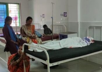 ବାଇକ ଧକ୍କାରେ ବୁଦ୍ଧାଙ୍କ ମୃତ୍ୟୁ